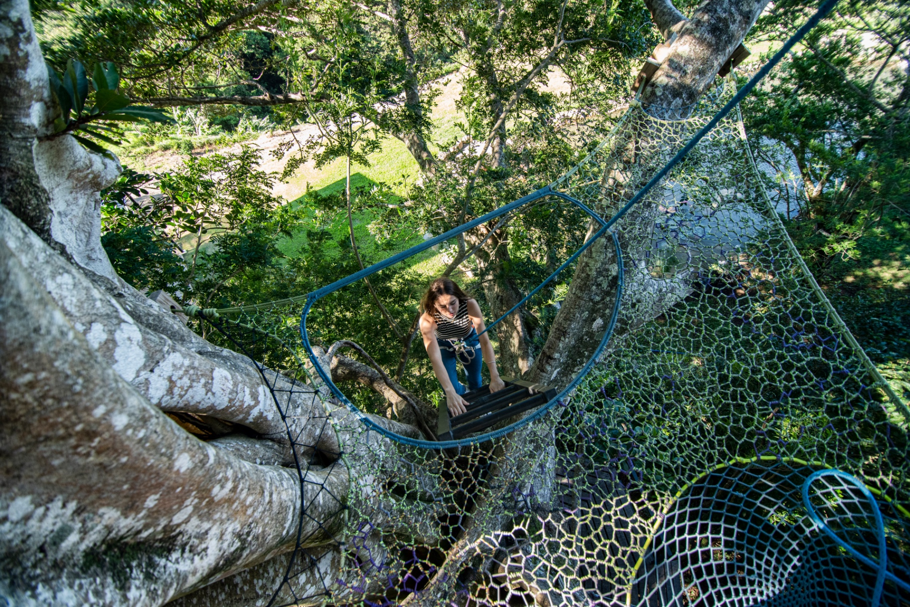 Visitante subiendo por la escalera hacia las redes del árbol en Nangú