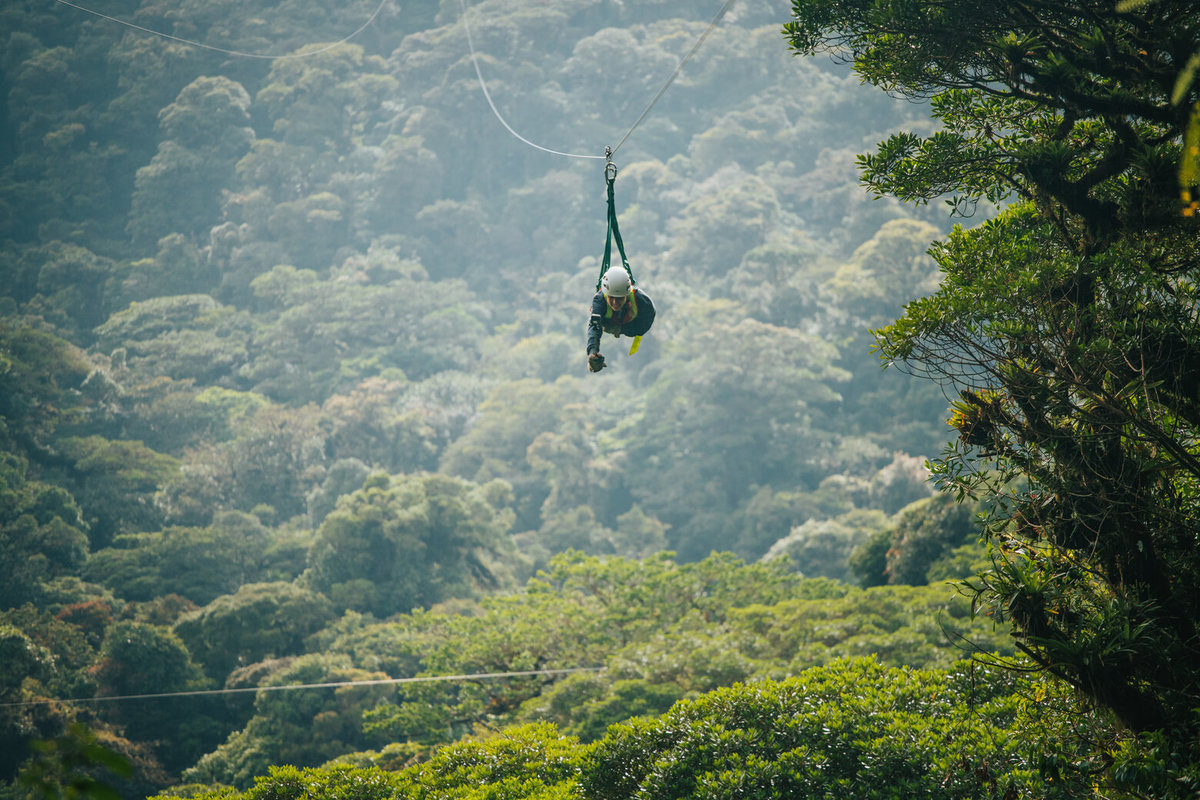 Canopy de Selvatura Park sobre el bosque nuboso de Monteverde, Costa Rica