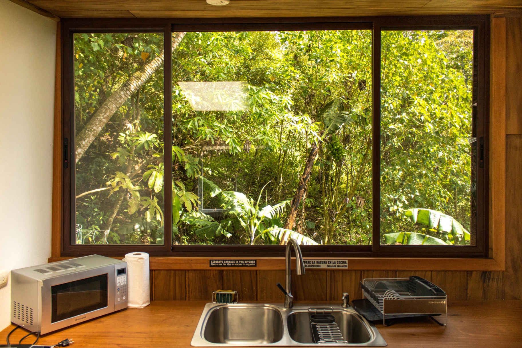 Cocina del Studio Carambola con fregadero, microondas y ventanal al bosque