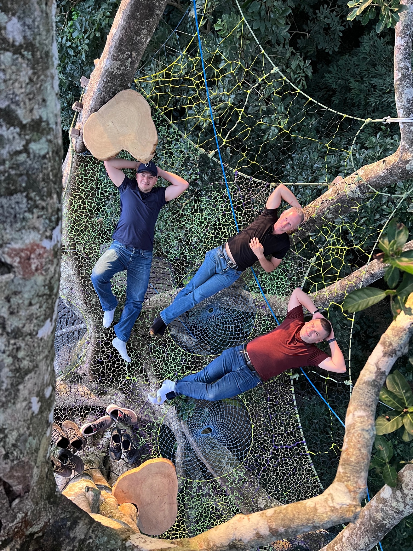 Amigos descansando sobre las redes entre las ramas del árbol en Nangú
