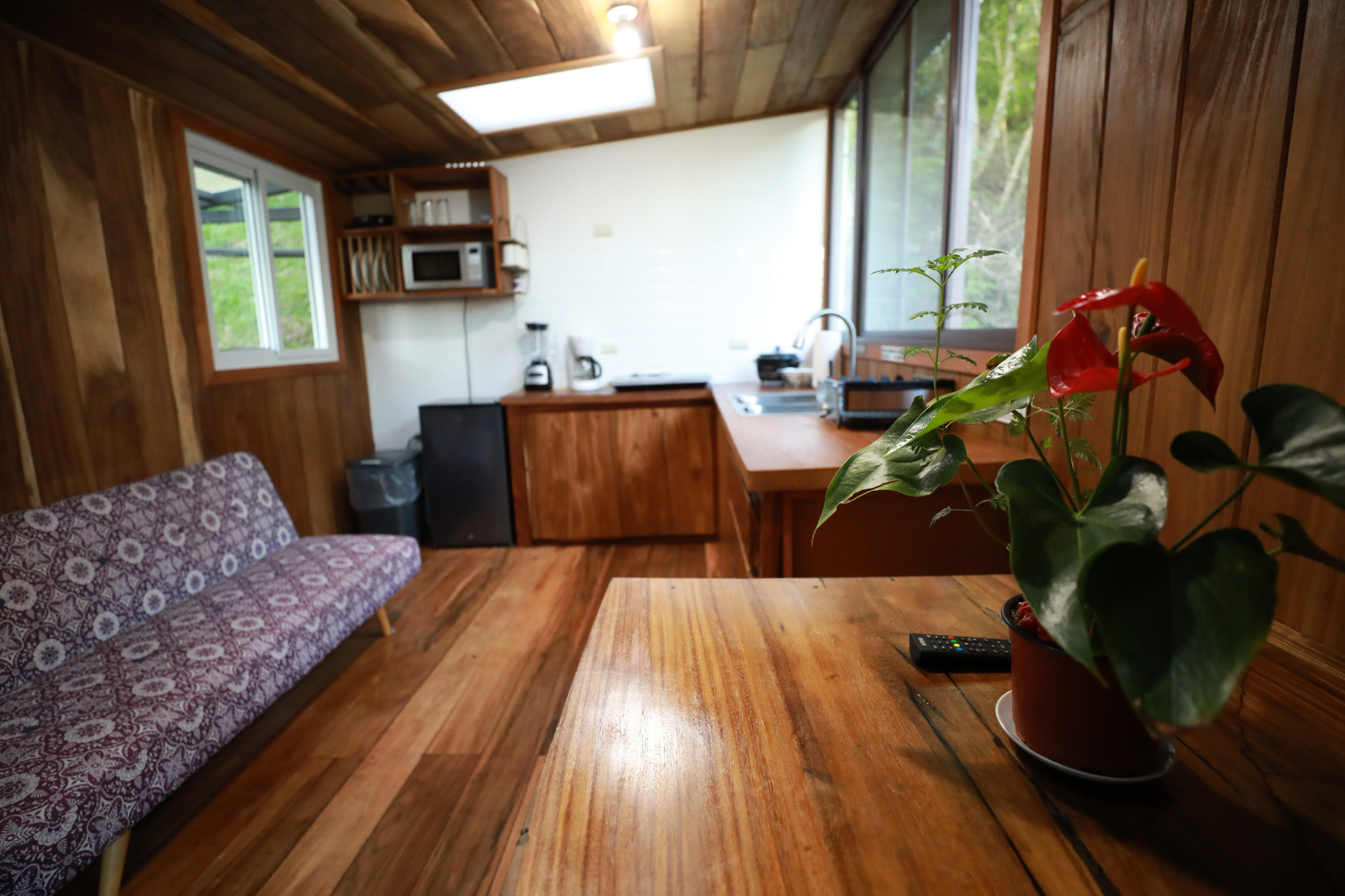 Sala y cocina equipada del Studio Carambola en madera con sofá y mesa